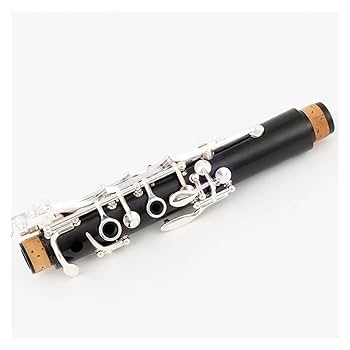 Amazon | クラリネット 管楽器 クラリネット Bb エボニー 17